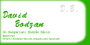david bodzan business card