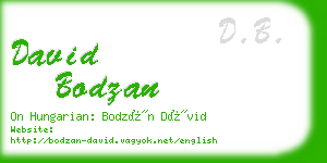 david bodzan business card